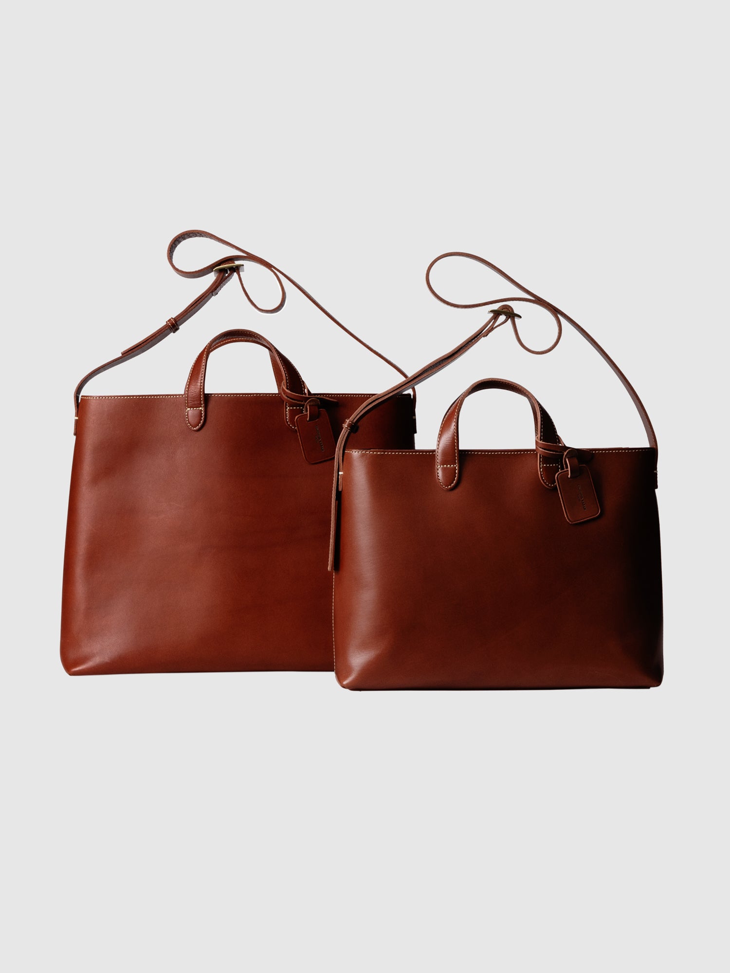 【数量限定色】ディアリオ 2wayトート Medium