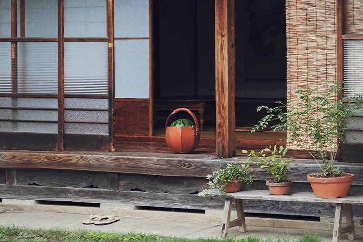 スイカを運ぶ鞄 Debut