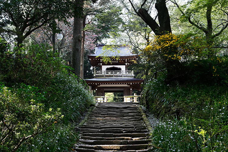 心をほぐす、鎌倉歩き。