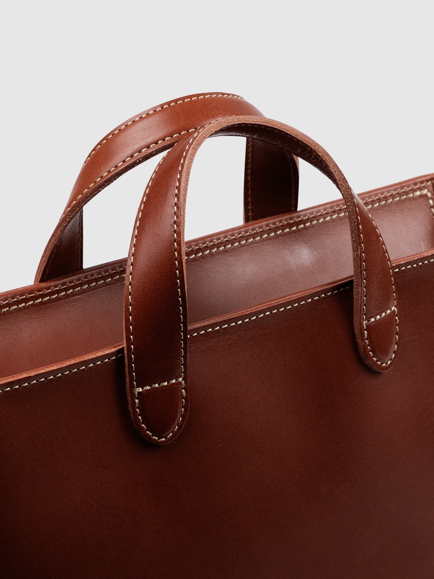 【数量限定色】ディアリオ 2wayトート  Medium