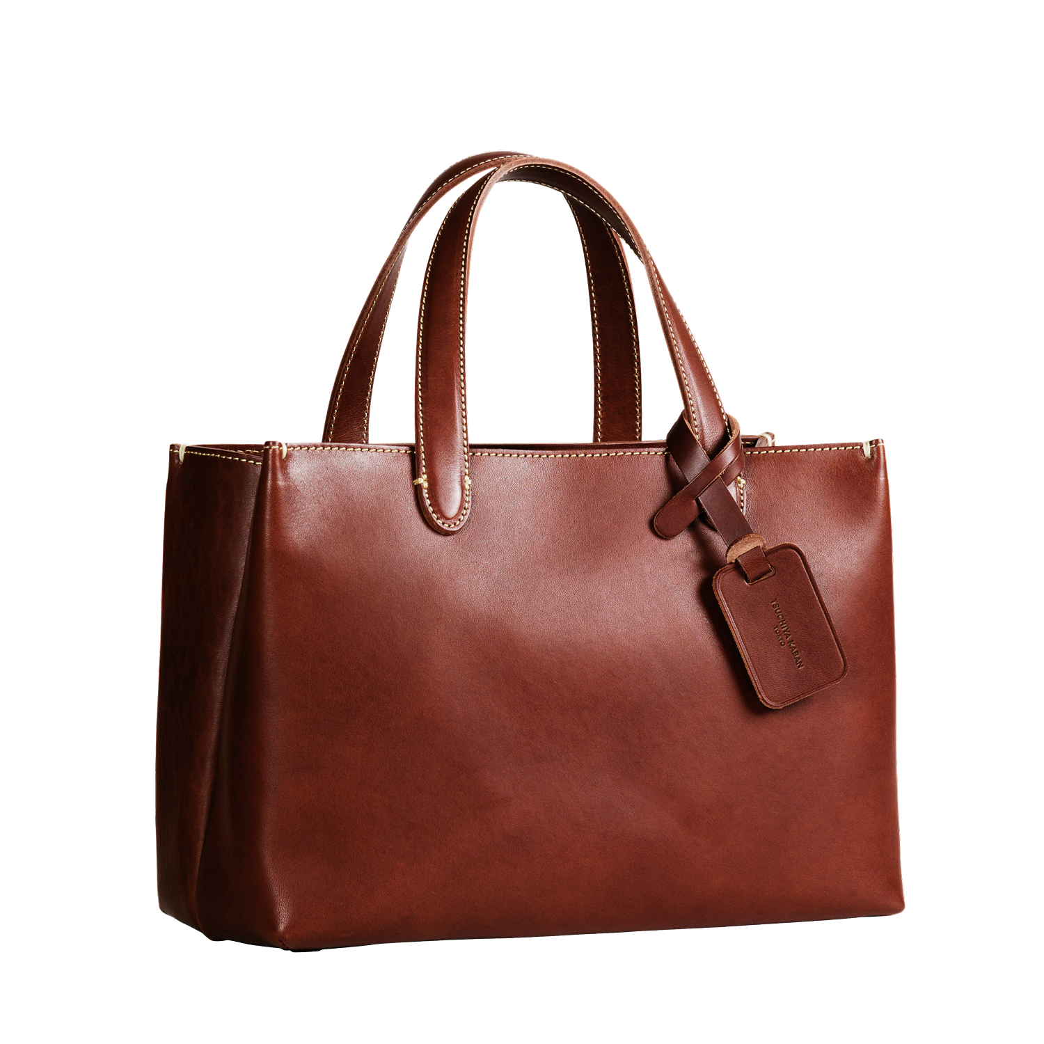 【数量限定色】ディアリオハンディトート