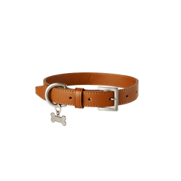 【数量限定色】ホームコレクション ペットカラー (首輪) L／ブラウン