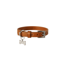 【数量限定色】ホームコレクション ペットカラー (首輪) M／ブラウン
