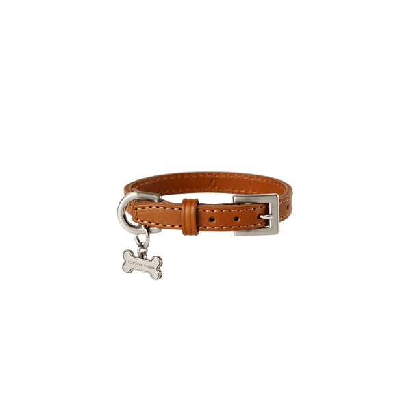 【数量限定色】ホームコレクション ペットカラー (首輪)