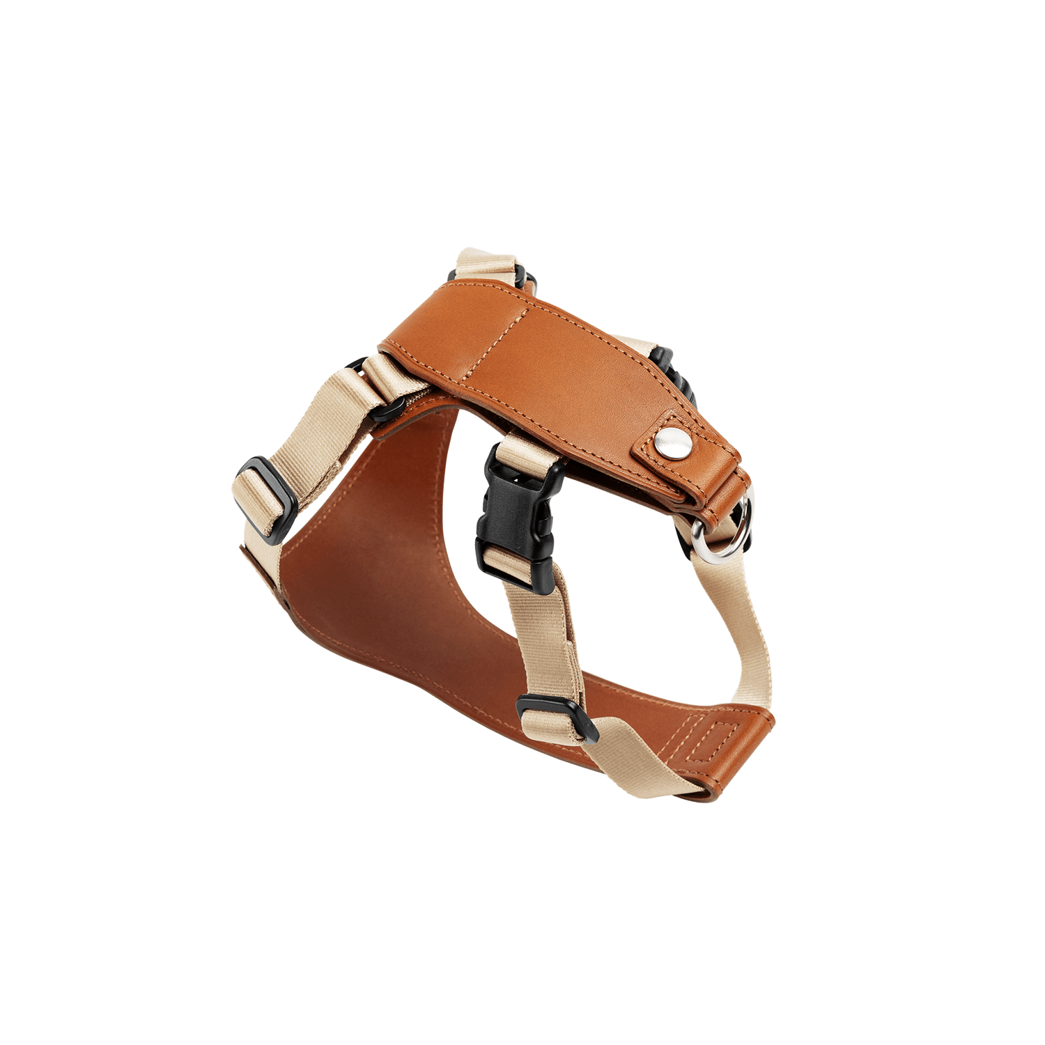 【数量限定色】ホームコレクション ペットランドセル