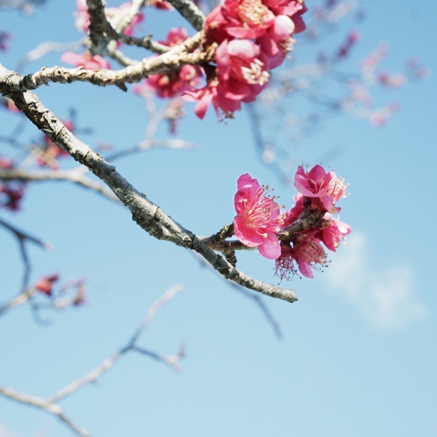 店舗スタッフ考案、春のビジネススタイル。